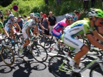 Tour de France peloton